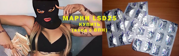 крисы Бородино