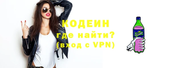 крисы Бородино