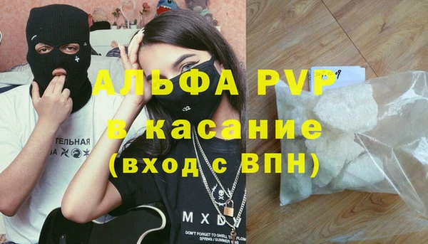 крисы Бородино