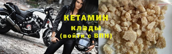 крисы Бородино