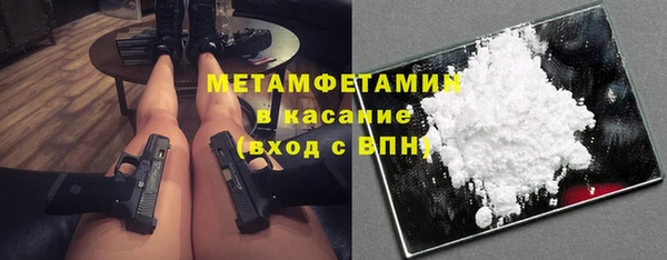 крисы Бородино