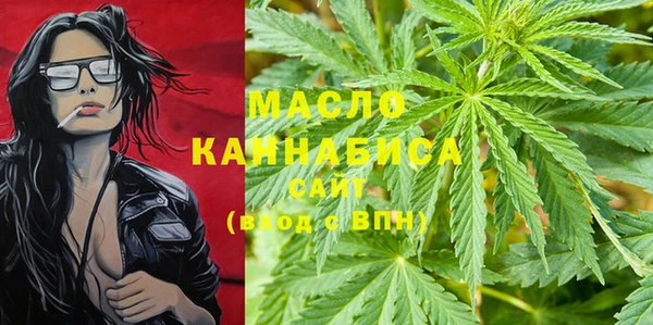 крисы Бородино
